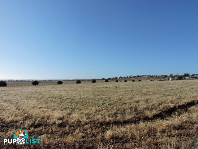 71 FORMAN ROAD YORK WA 6302