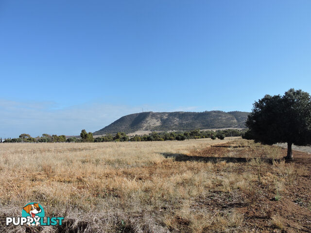 71 FORMAN ROAD YORK WA 6302