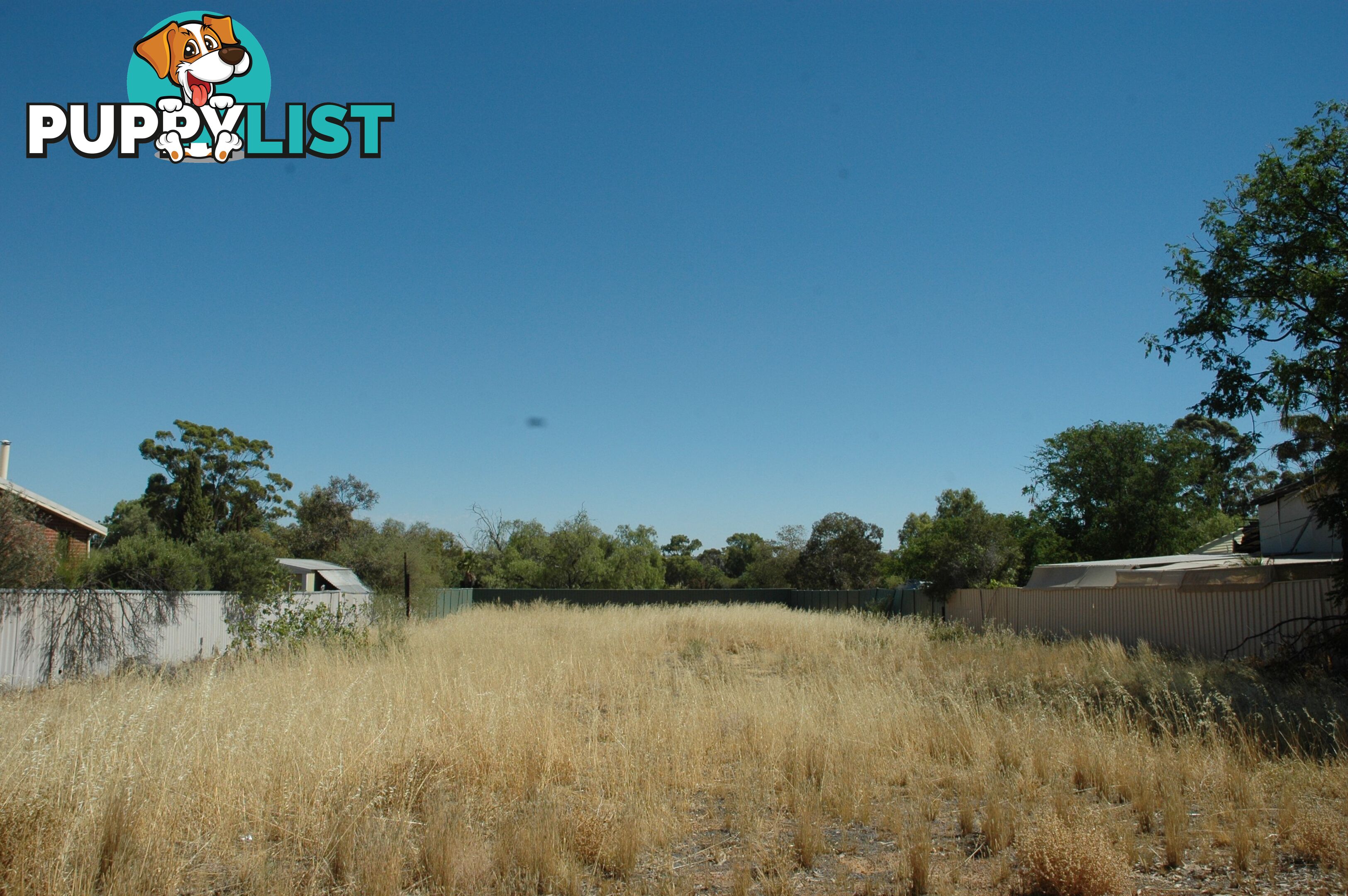 173 Kitchener Street MERREDIN WA 6415