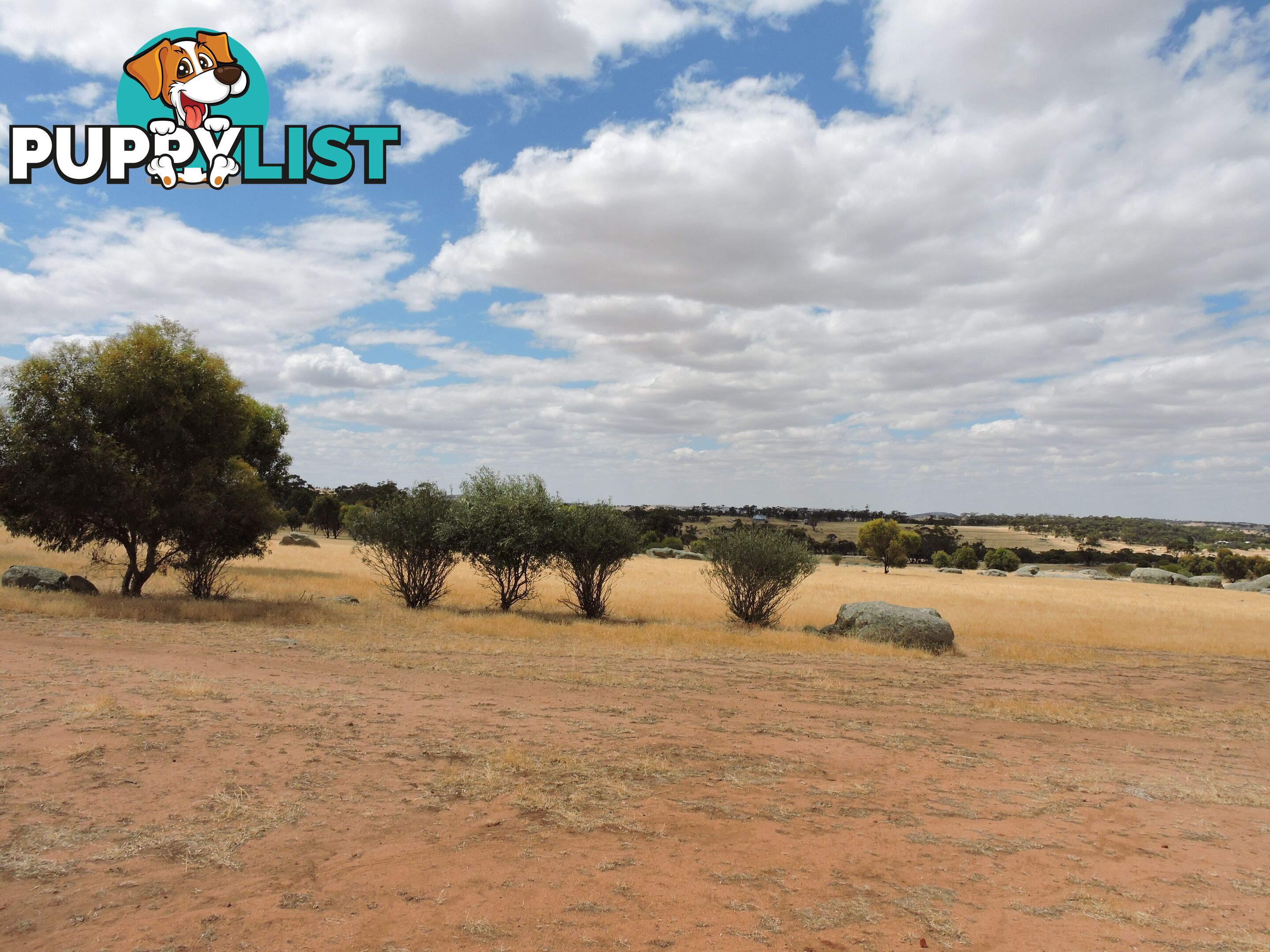 82 CANNON HILL BEVERLEY WA 6304