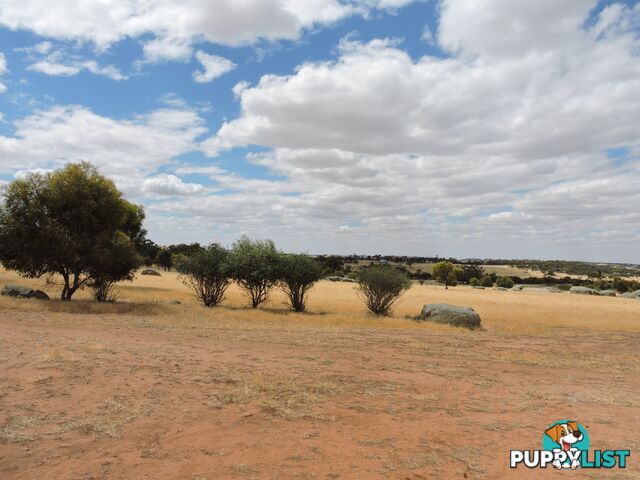 82 CANNON HILL BEVERLEY WA 6304
