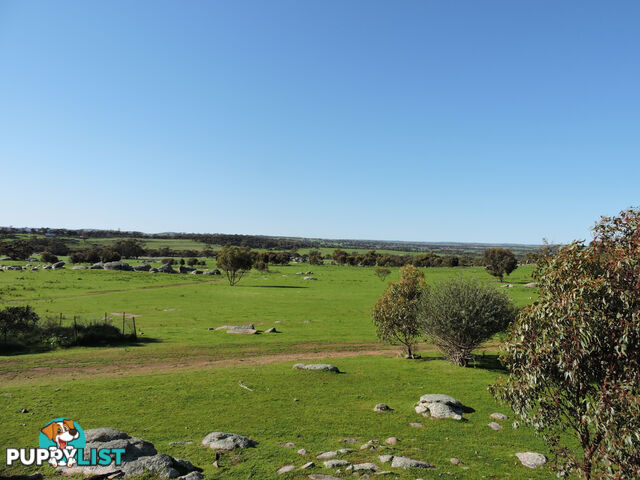 82 CANNON HILL BEVERLEY WA 6304