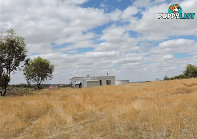 82 CANNON HILL BEVERLEY WA 6304