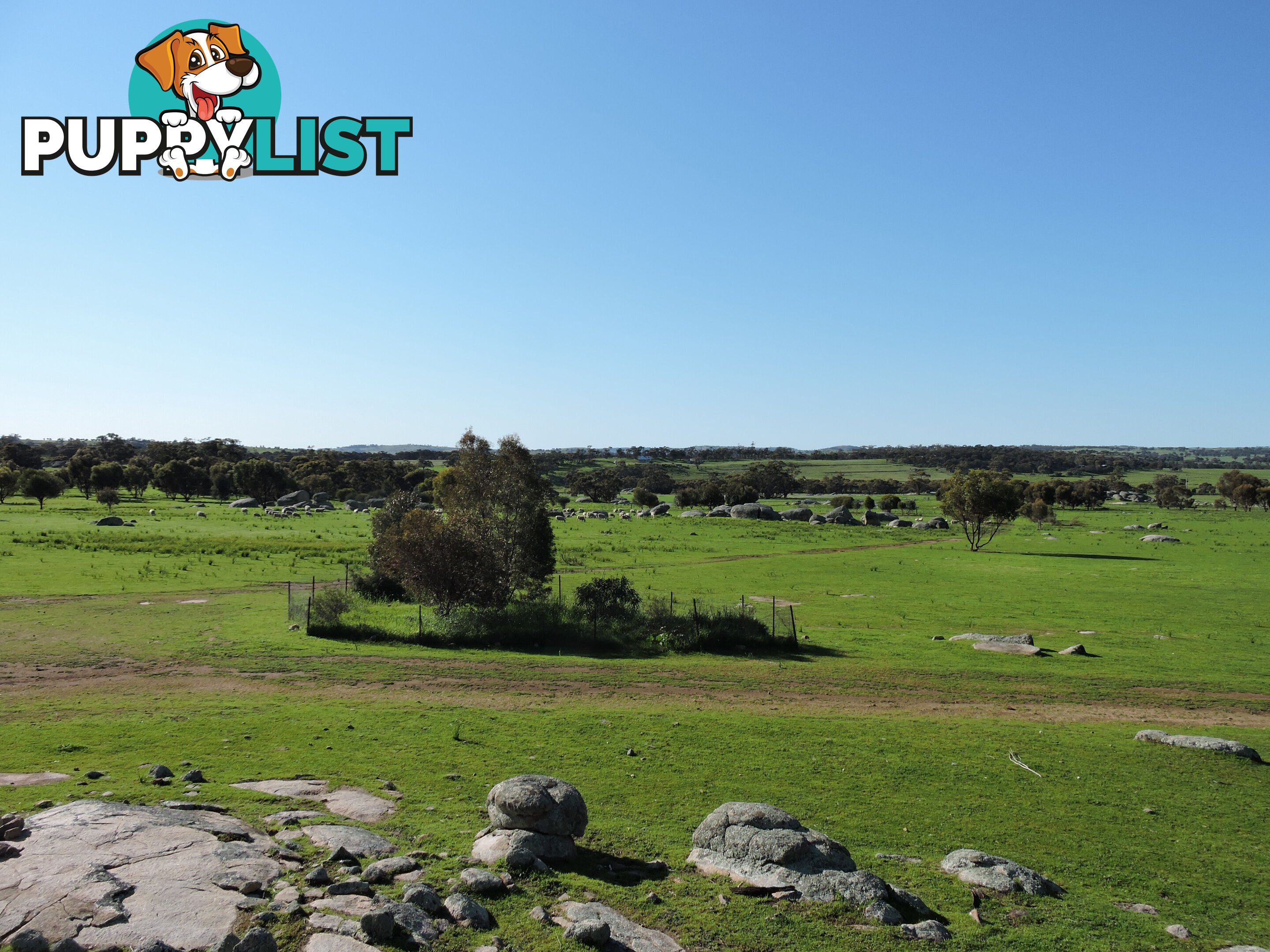 82 CANNON HILL BEVERLEY WA 6304