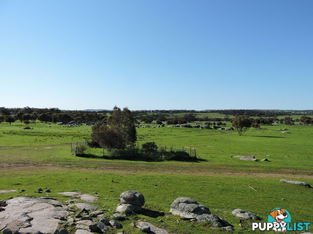 82 CANNON HILL BEVERLEY WA 6304