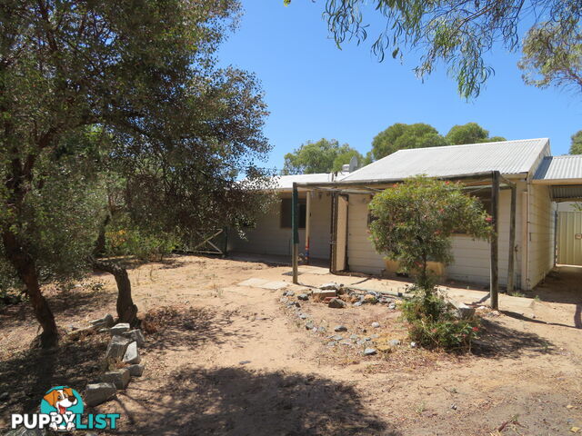 62 12 Mansfield Street YORK WA 6302
