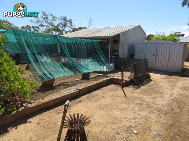300 45 Glass Street TRAYNING WA 6488