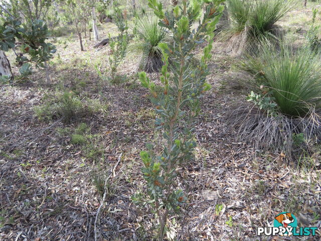 801 Talbot West Road YORK WA 6302