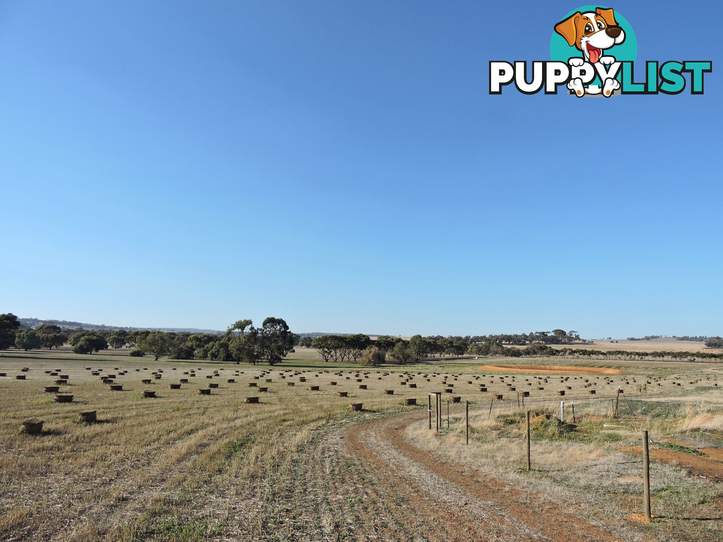760 YORK-WILLIAMS ROAD WANDERING WA 6308