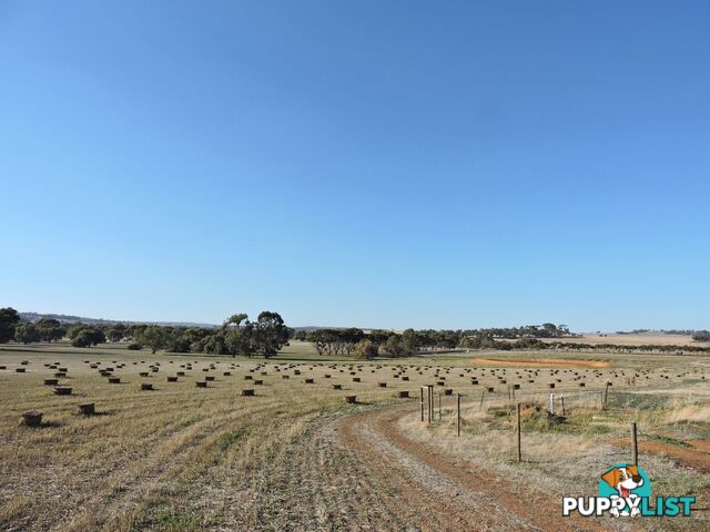 760 YORK-WILLIAMS ROAD WANDERING WA 6308