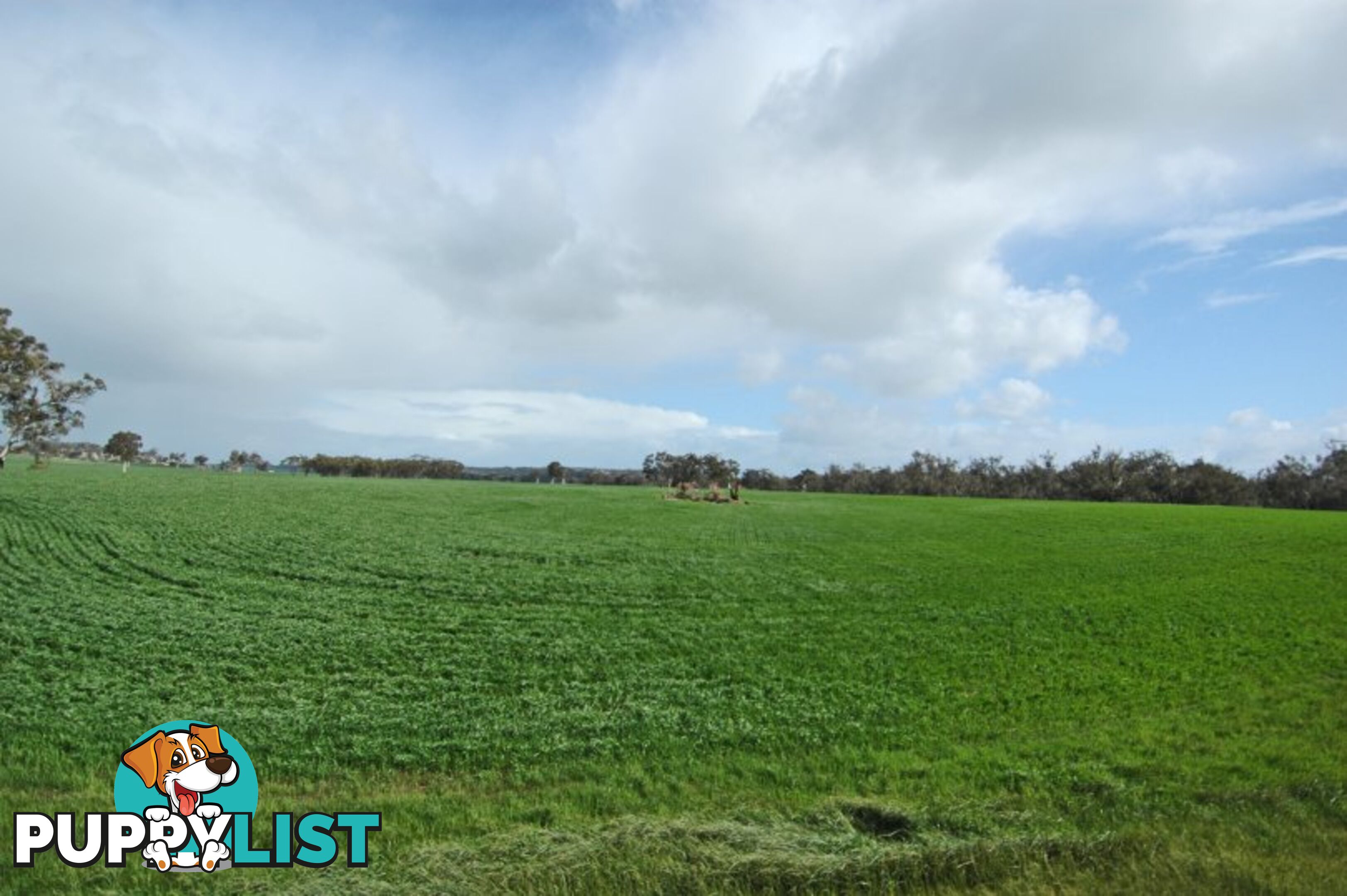 625 Kokeby West Road BEVERLEY WA 6304