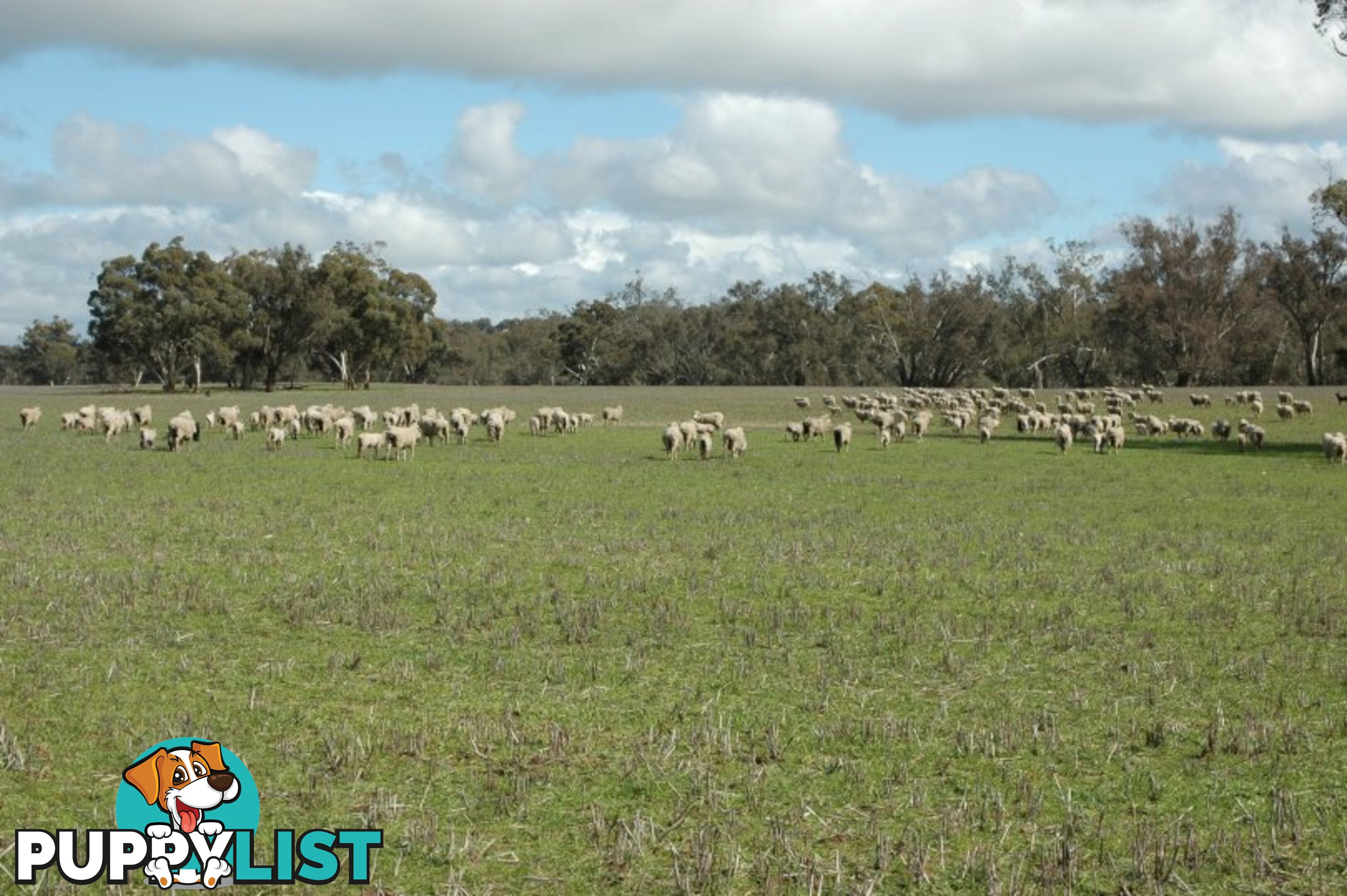 625 Kokeby West Road BEVERLEY WA 6304