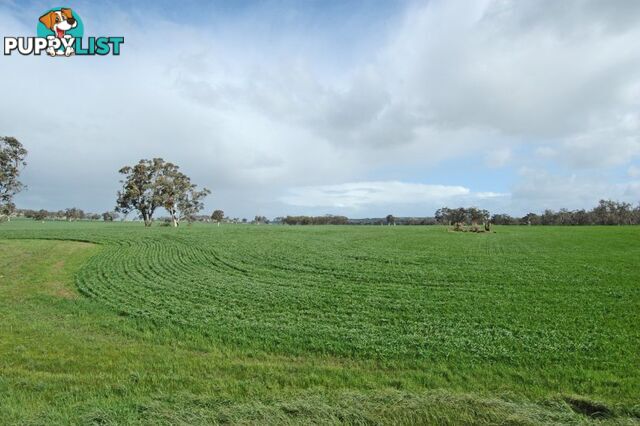 625 Kokeby West Road BEVERLEY WA 6304