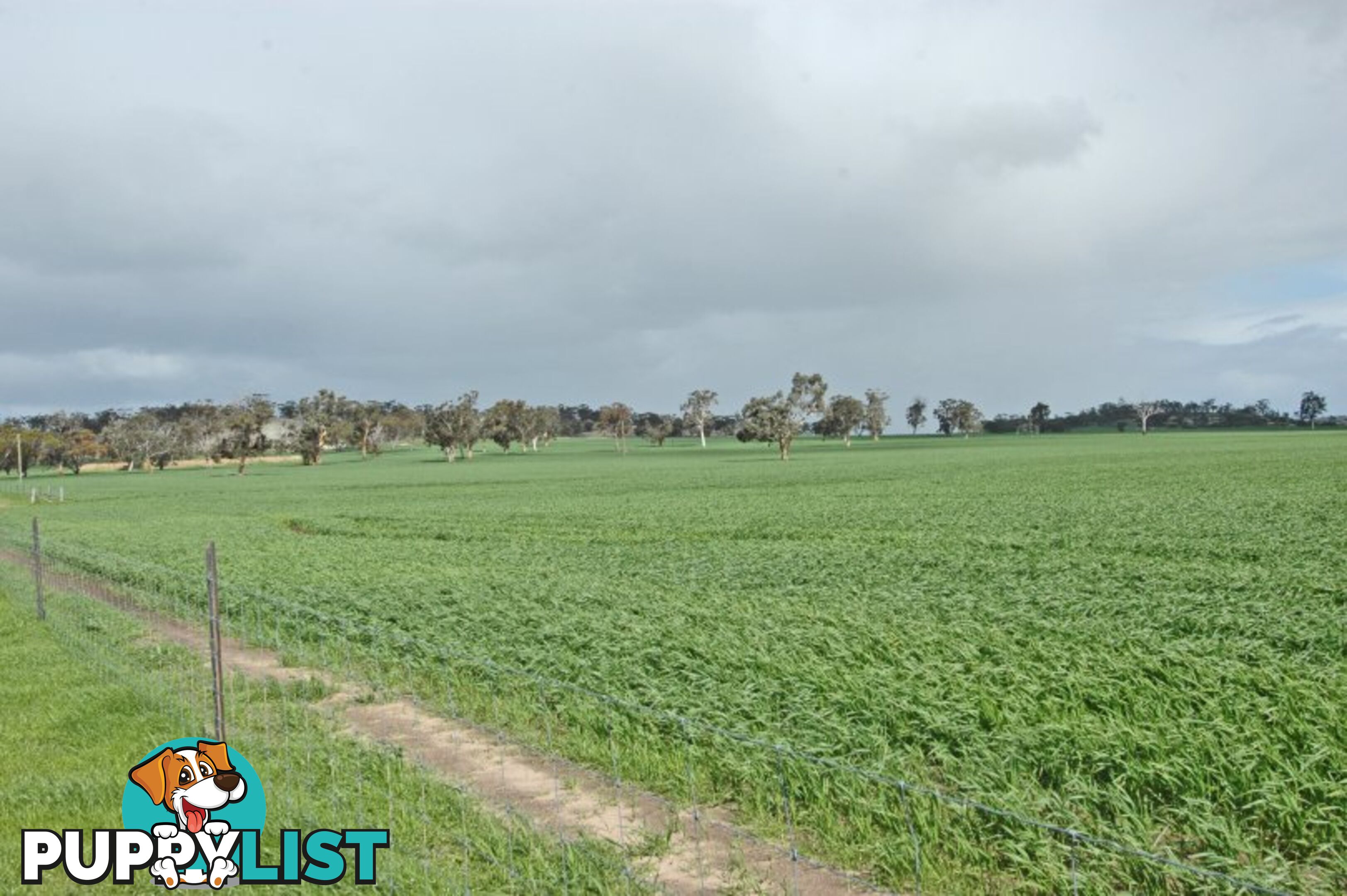 625 Kokeby West Road BEVERLEY WA 6304