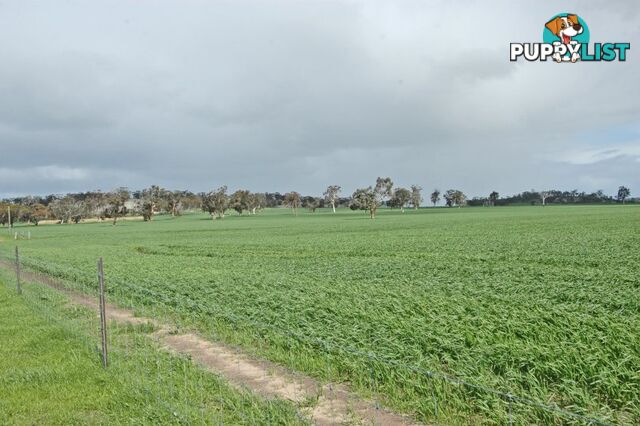 625 Kokeby West Road BEVERLEY WA 6304
