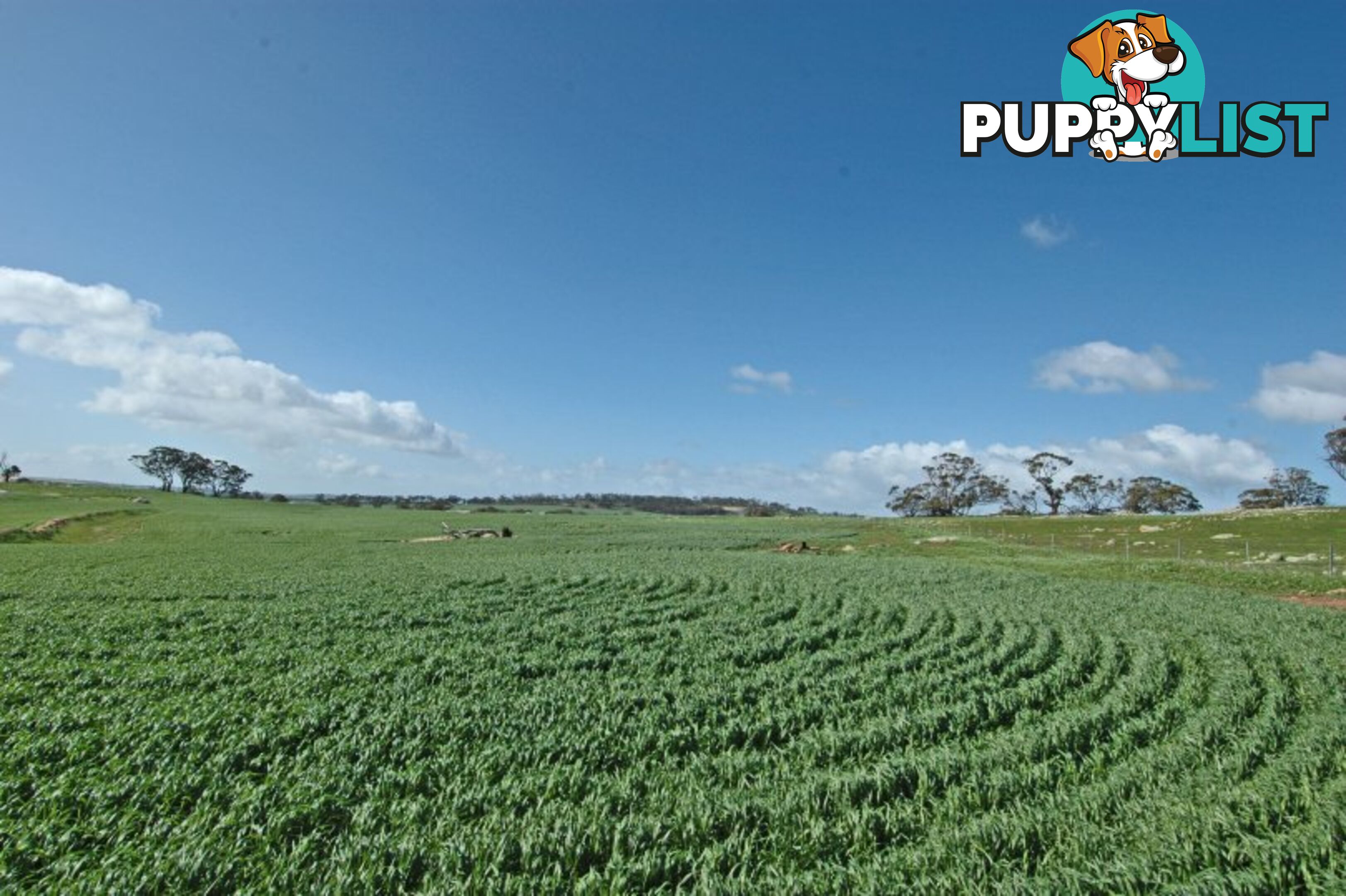 625 Kokeby West Road BEVERLEY WA 6304