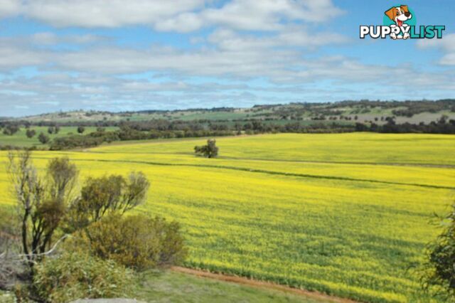 Kokeby West Road BEVERLEY WA 6304