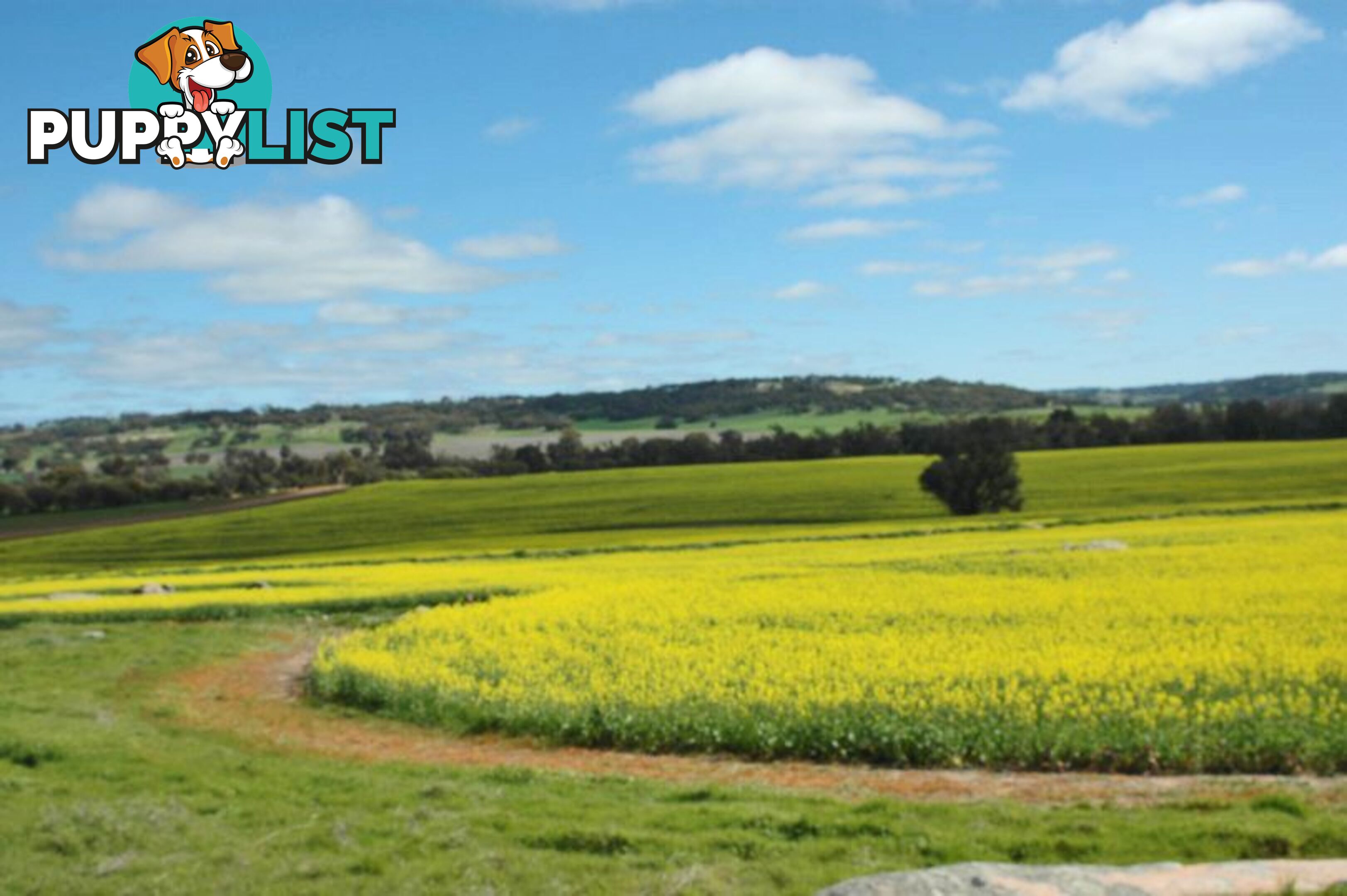 Kokeby West Road BEVERLEY WA 6304
