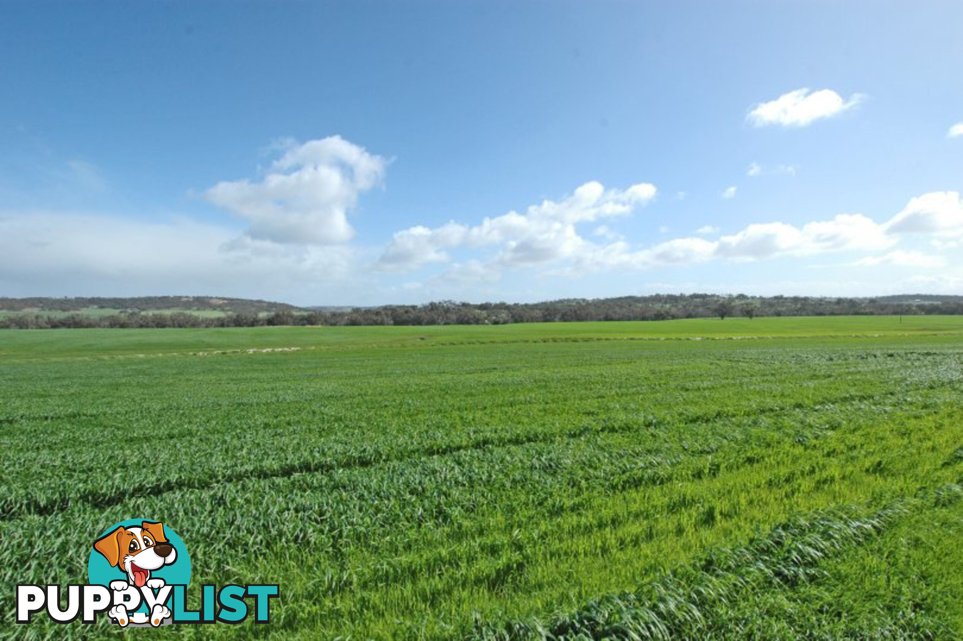 Kokeby West Road BEVERLEY WA 6304