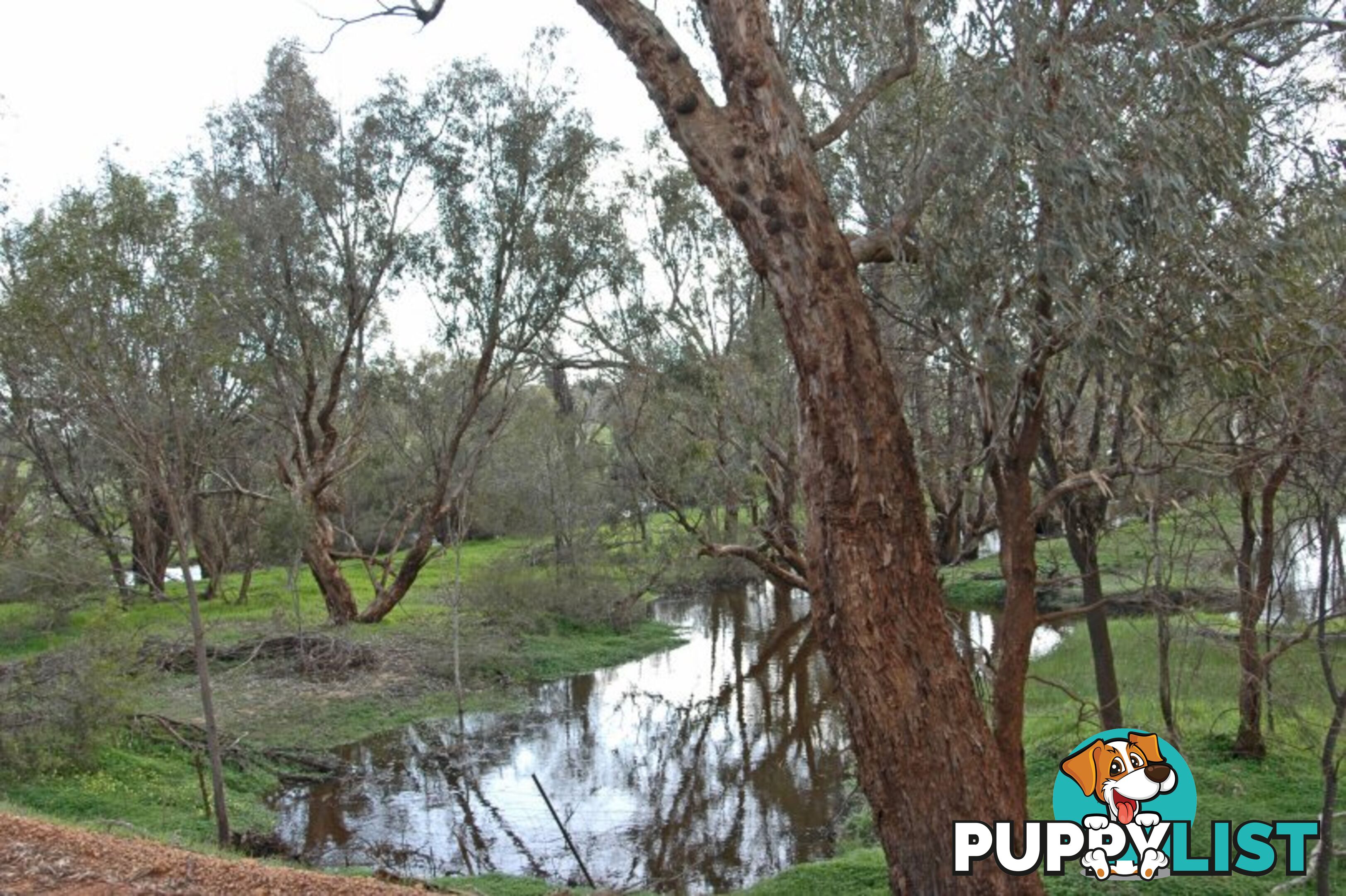 Kokeby West Road BEVERLEY WA 6304