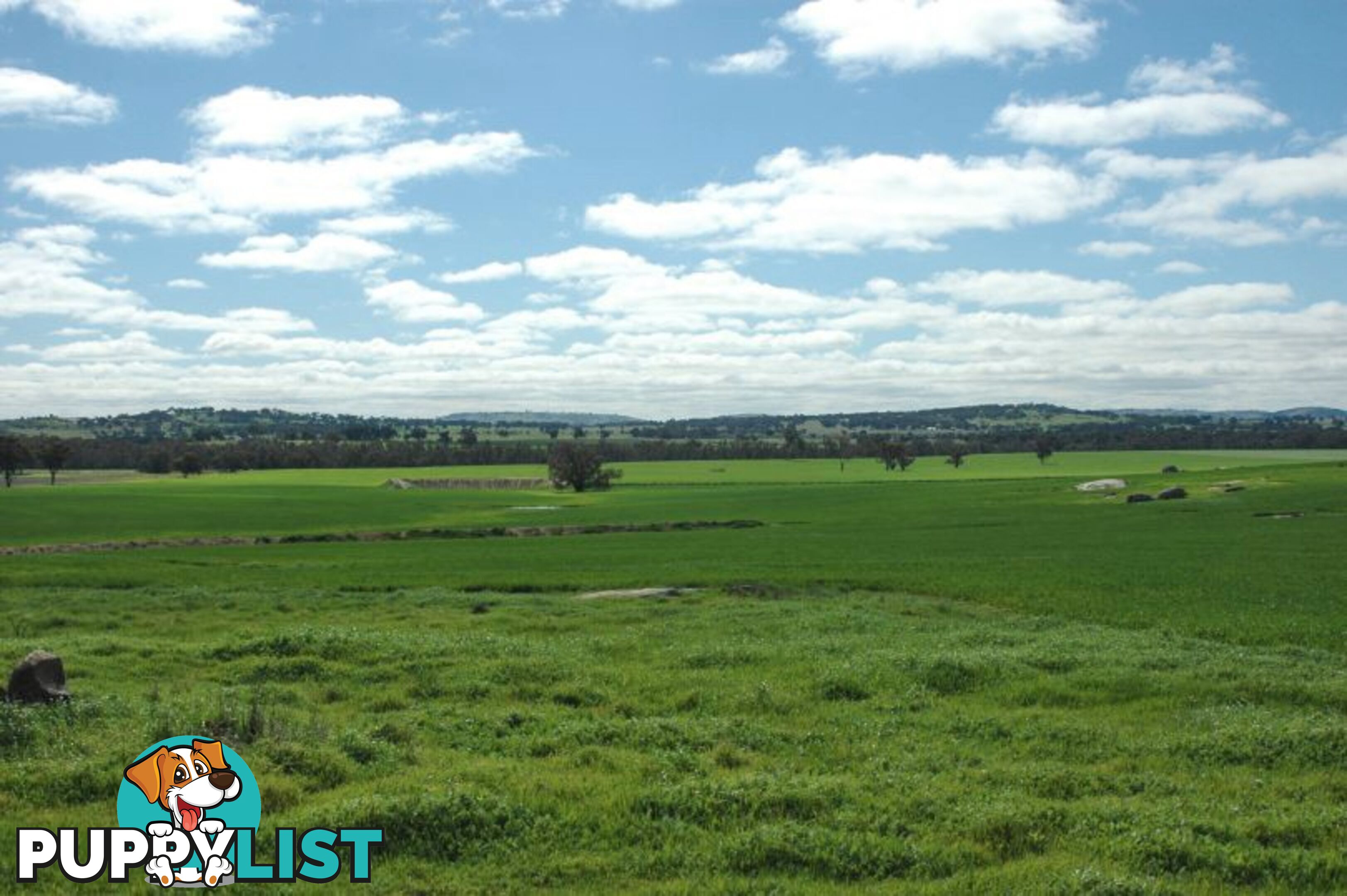 Kokeby West Road BEVERLEY WA 6304