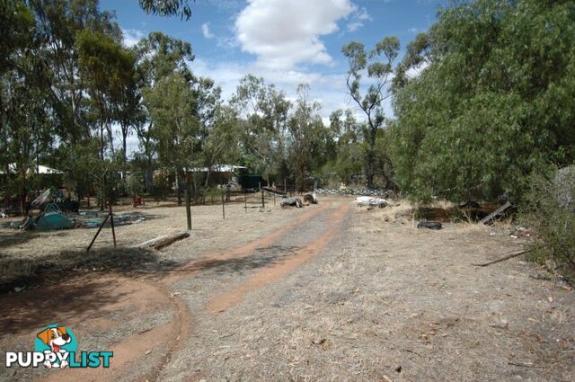 831 28 Georgiana Street YORK WA 6302