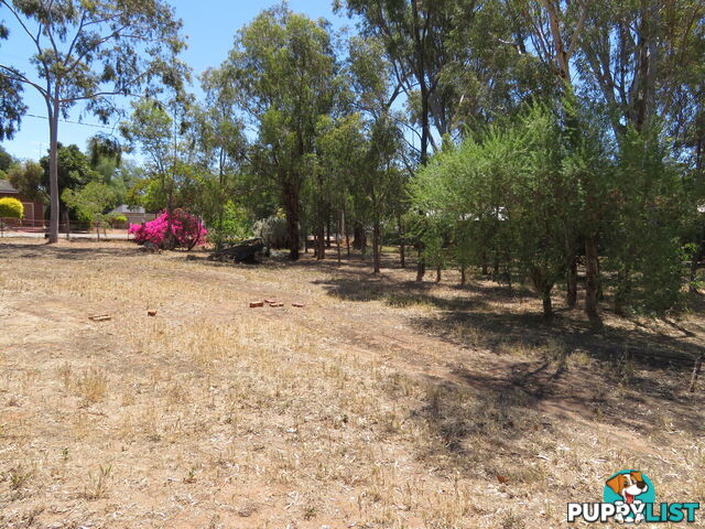 831 28 Georgiana Street YORK WA 6302