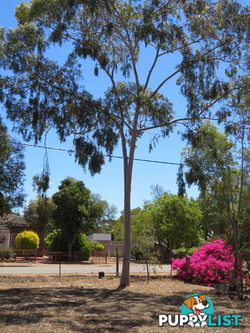 831 28 Georgiana Street YORK WA 6302