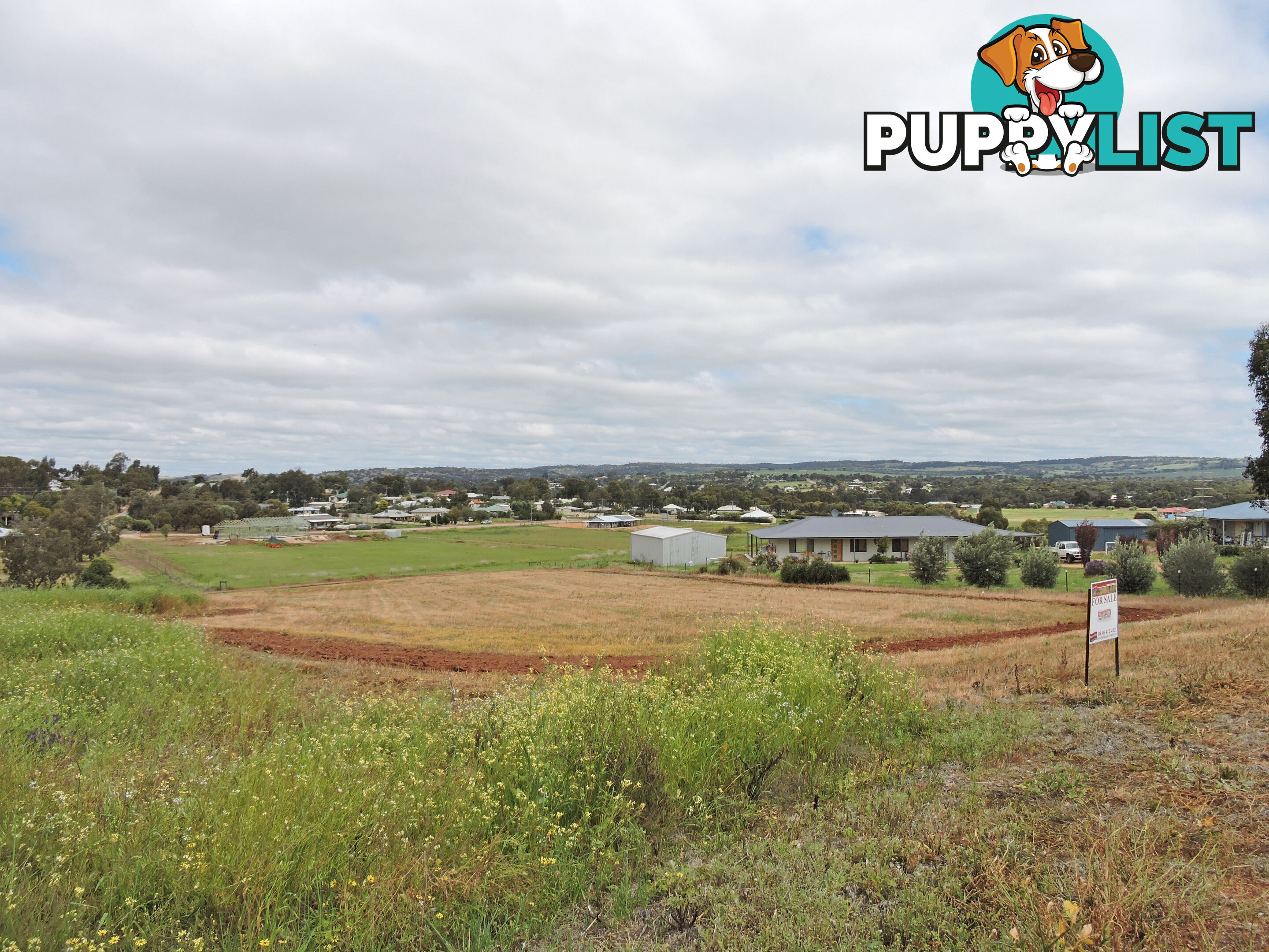 41 CAMFIELD ROAD YORK WA 6302
