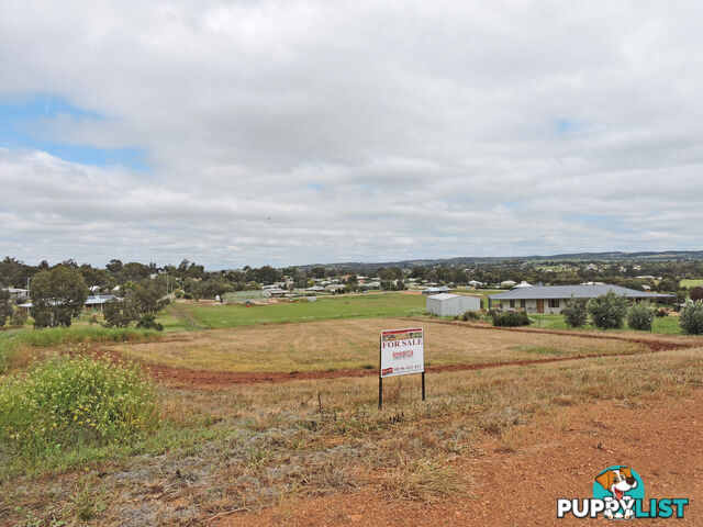 41 CAMFIELD ROAD YORK WA 6302