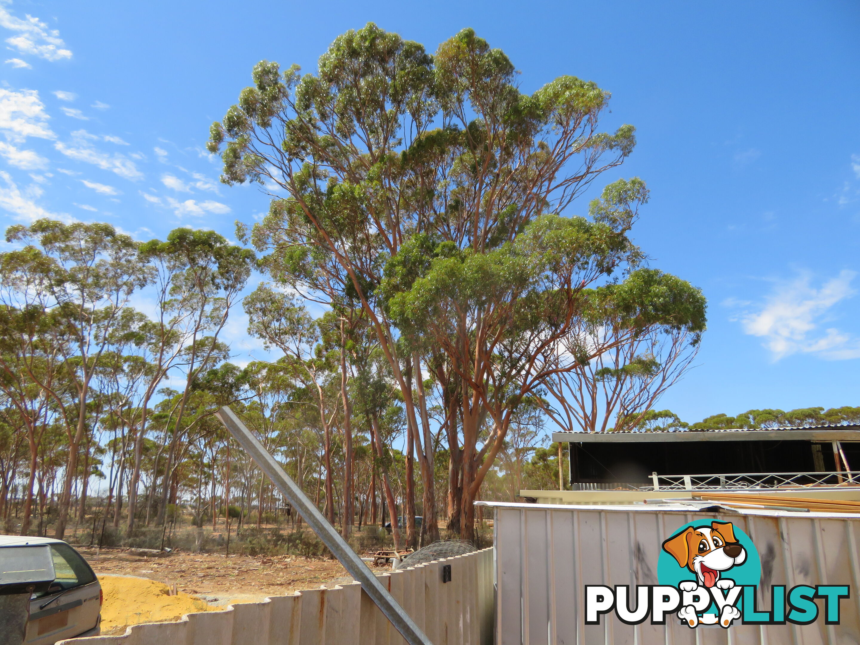 112 22 Adam Street KUNUNOPPIN WA 6489