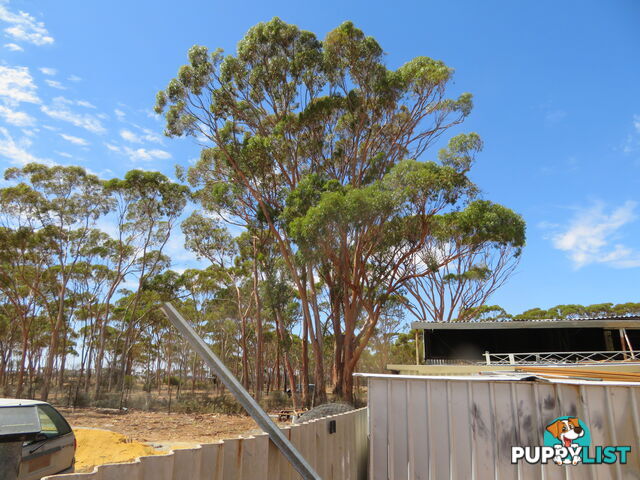 112 22 Adam Street KUNUNOPPIN WA 6489