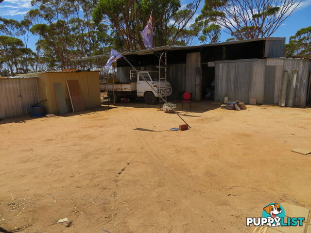 112 22 Adam Street KUNUNOPPIN WA 6489