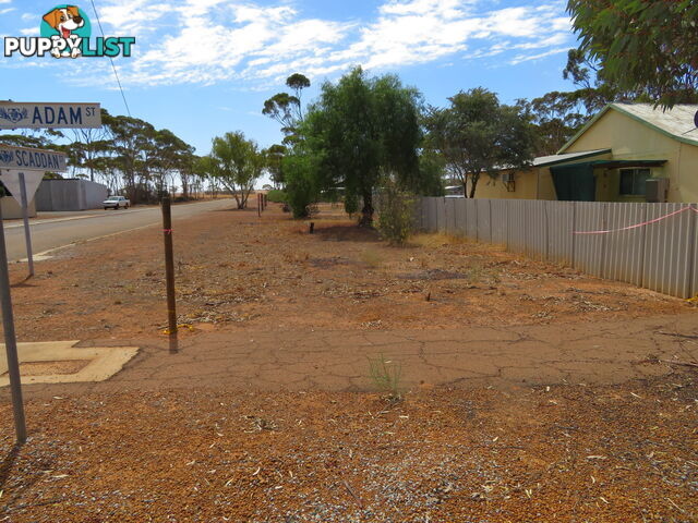 112 22 Adam Street KUNUNOPPIN WA 6489