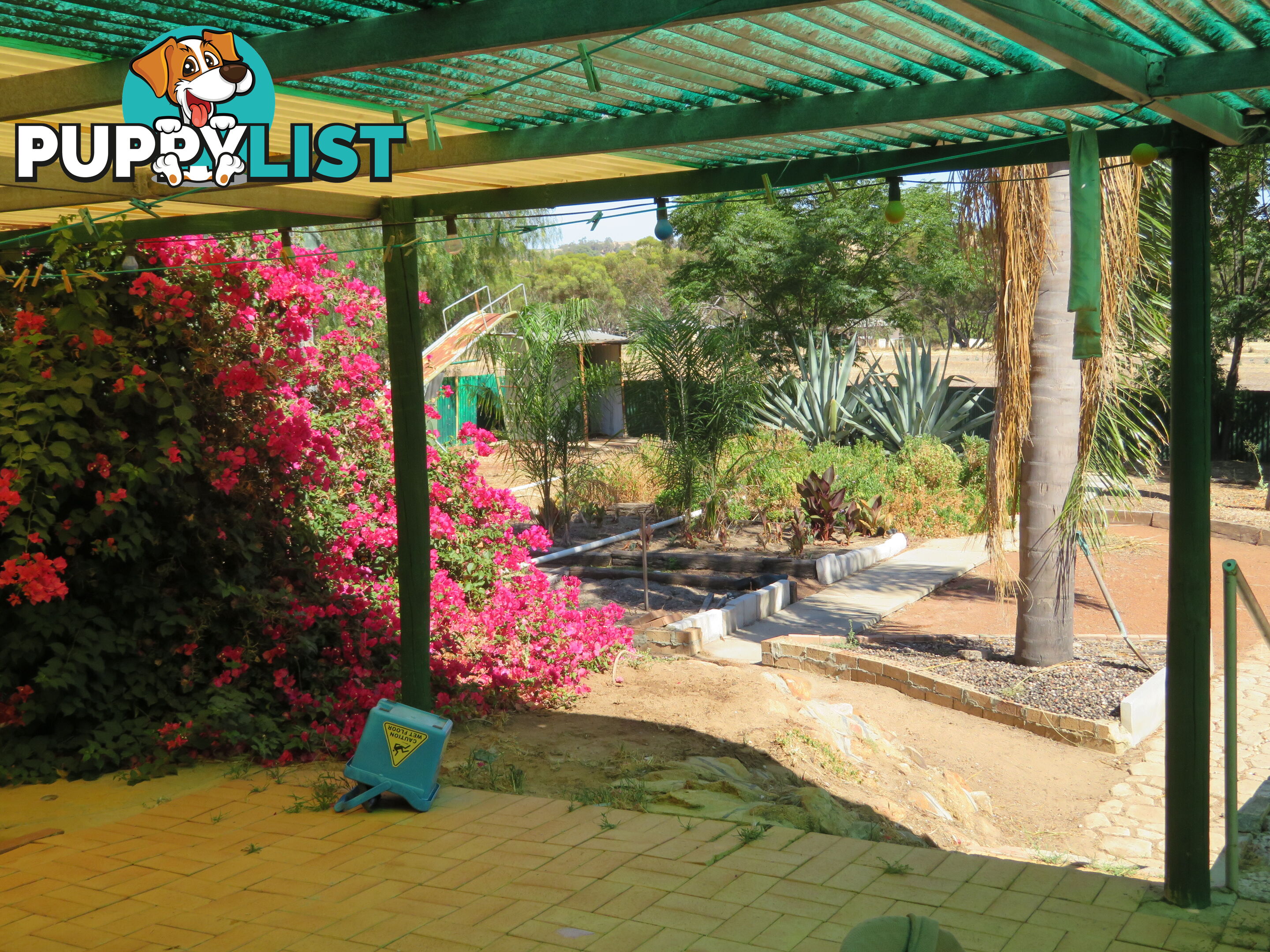 50 15 Glass Court YORK WA 6302