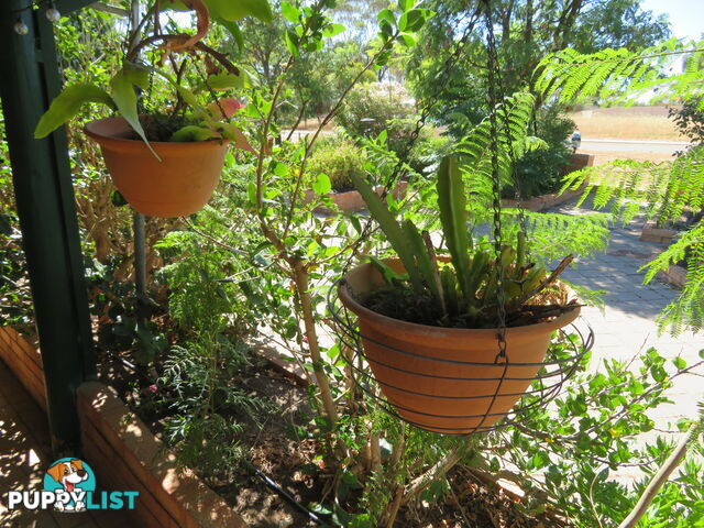 50 15 Glass Court YORK WA 6302