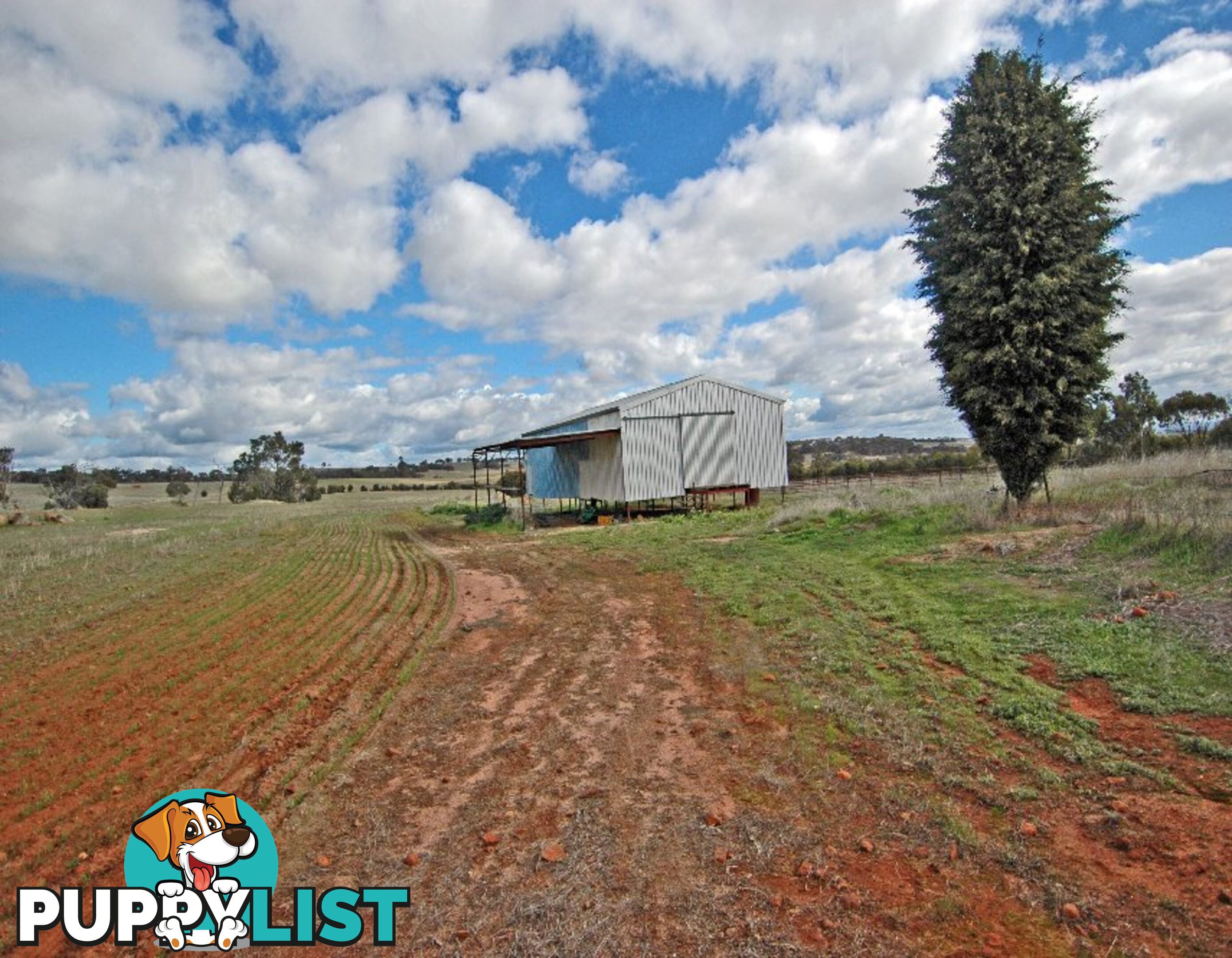 3 BARTRAM BROOKTON WA 6306