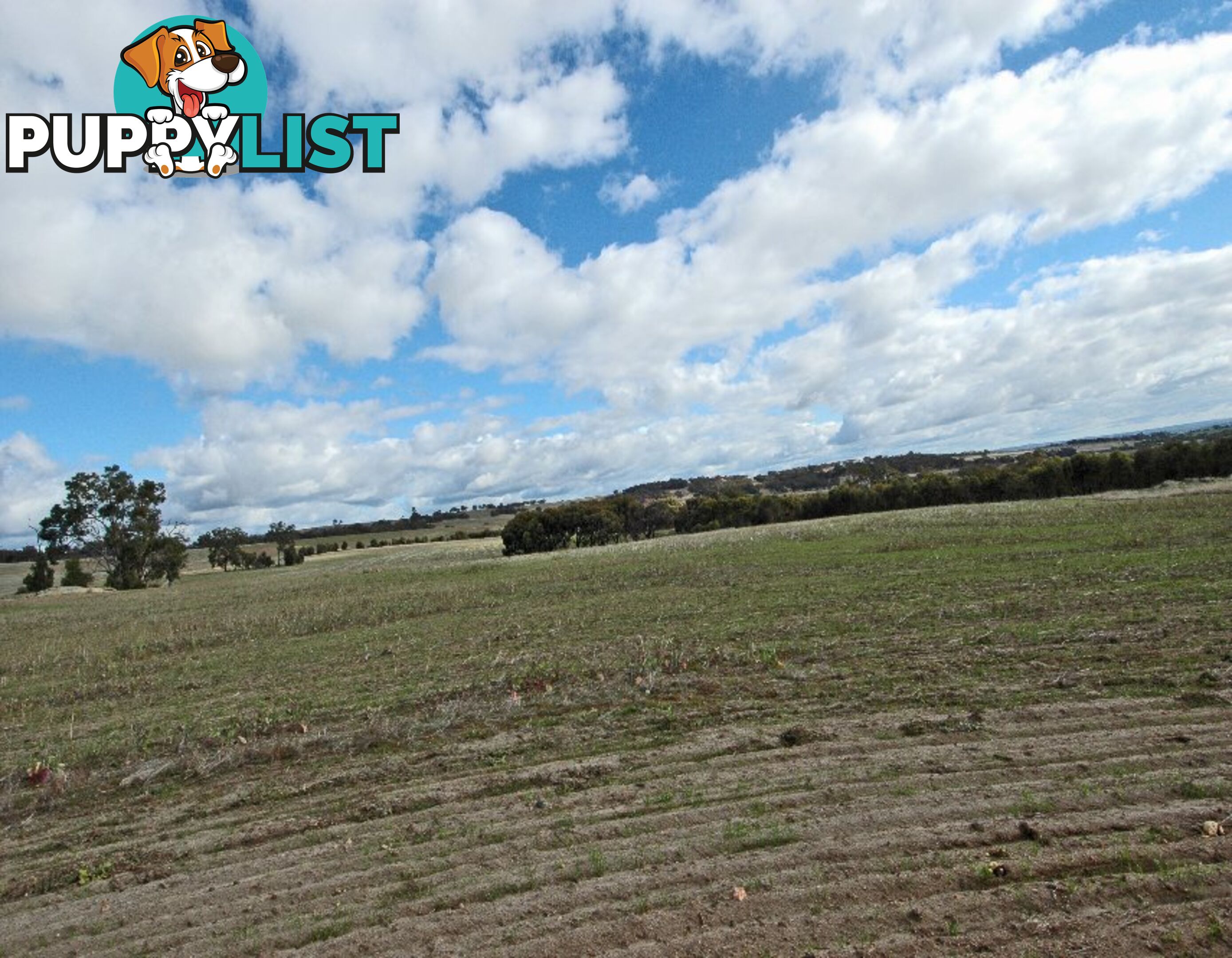 3 BARTRAM BROOKTON WA 6306