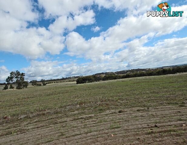 3 BARTRAM BROOKTON WA 6306
