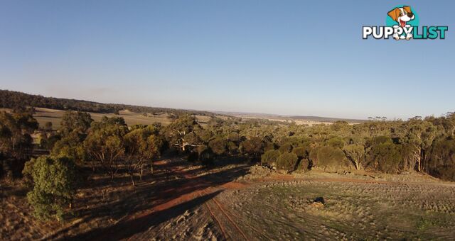 3 BARTRAM BROOKTON WA 6306