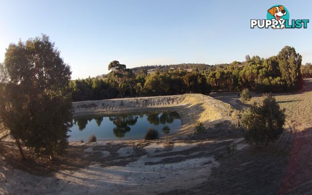 3 BARTRAM BROOKTON WA 6306
