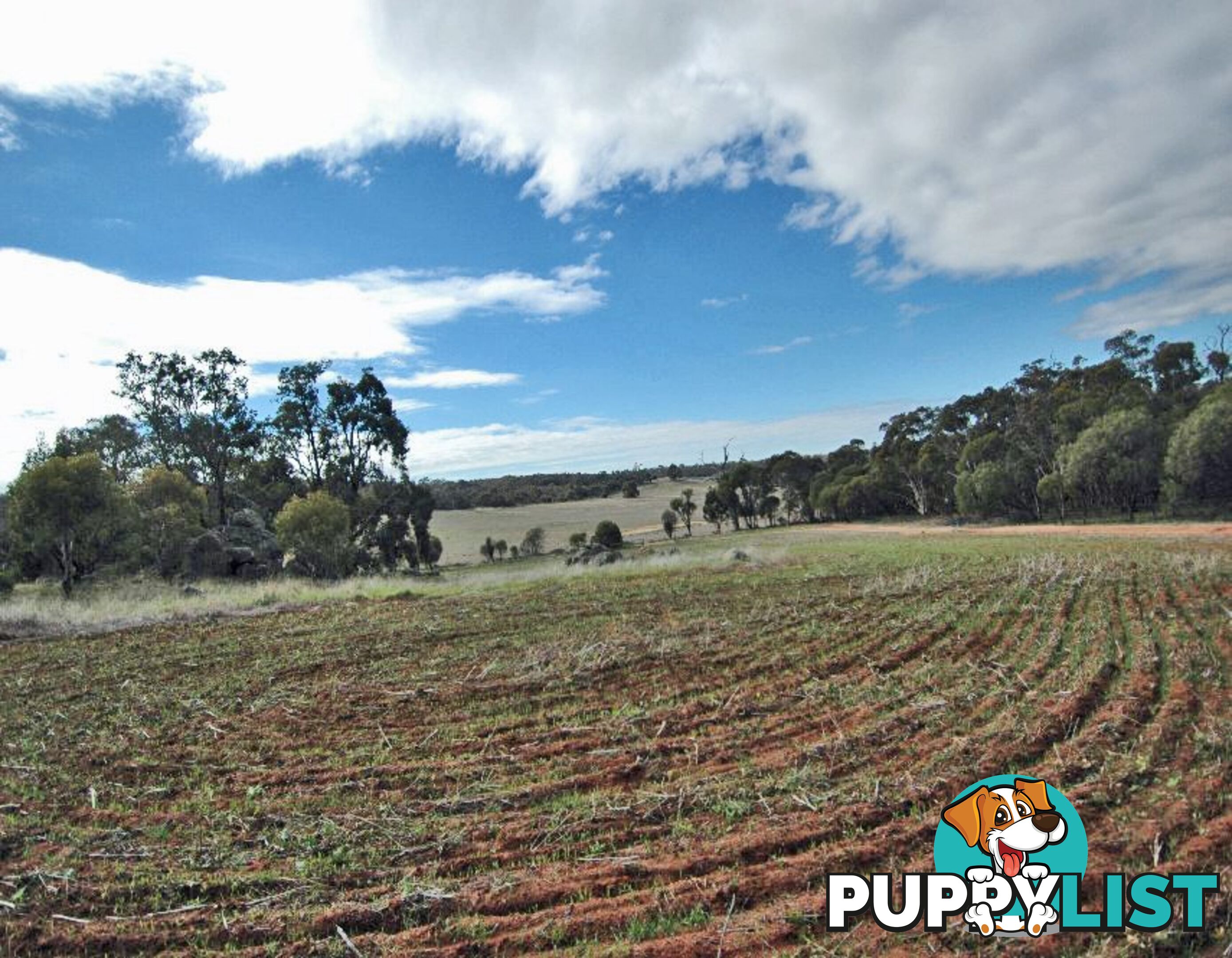 3 BARTRAM BROOKTON WA 6306