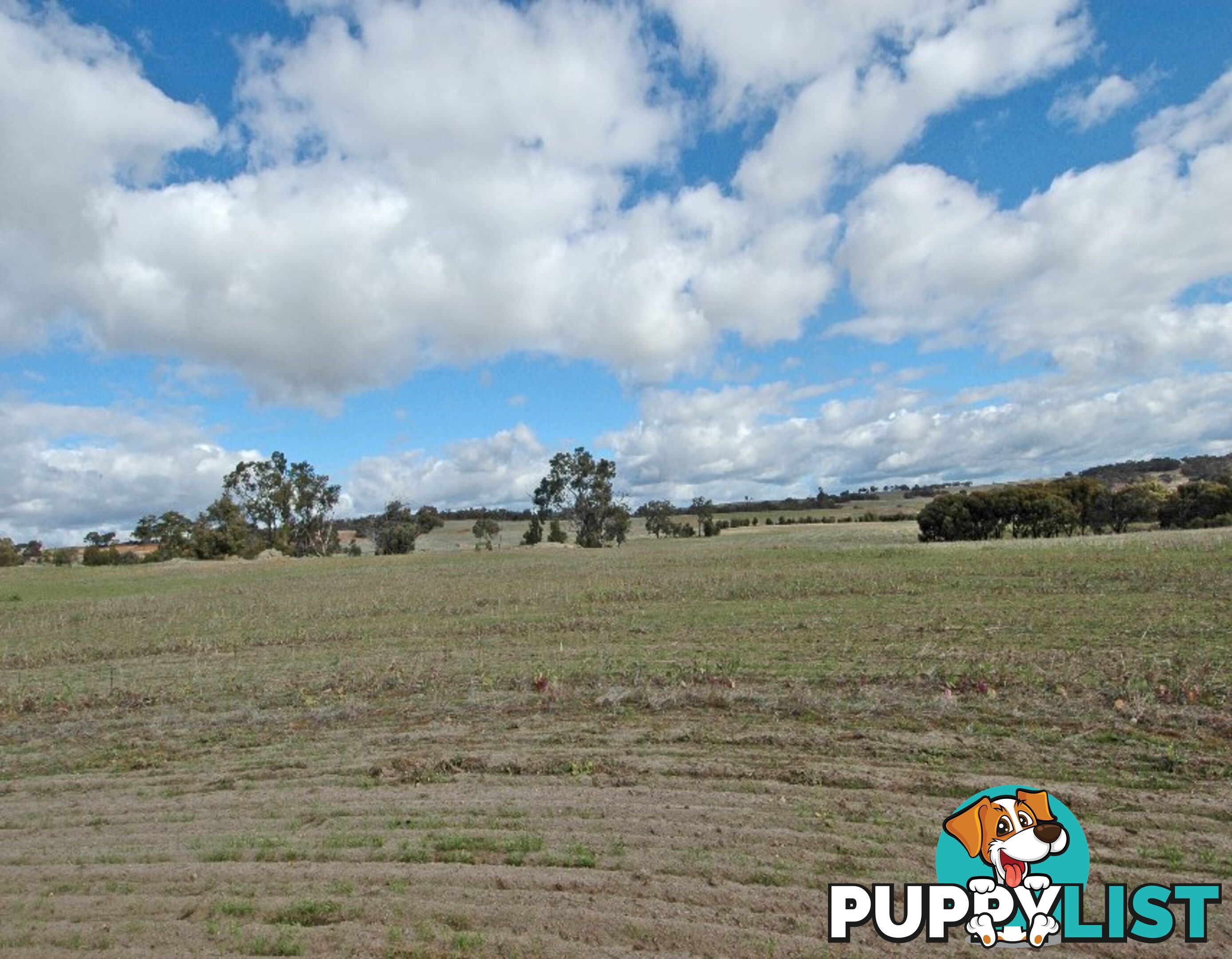 3 BARTRAM BROOKTON WA 6306