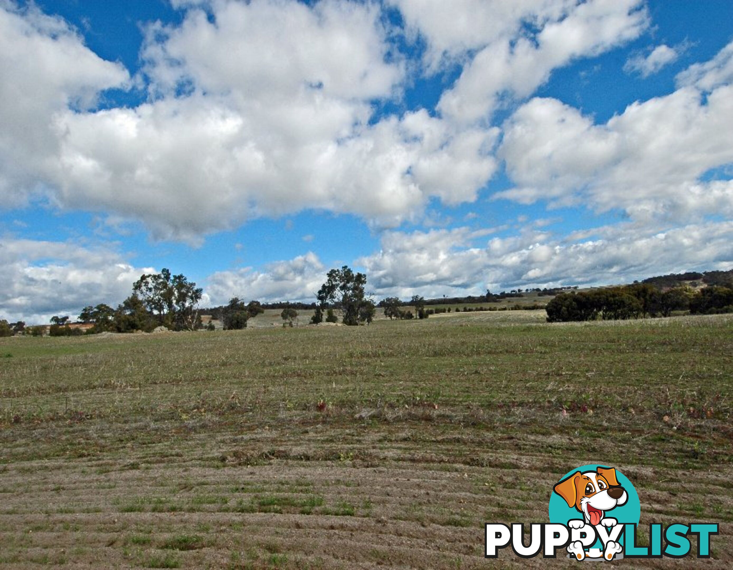 3 BARTRAM BROOKTON WA 6306