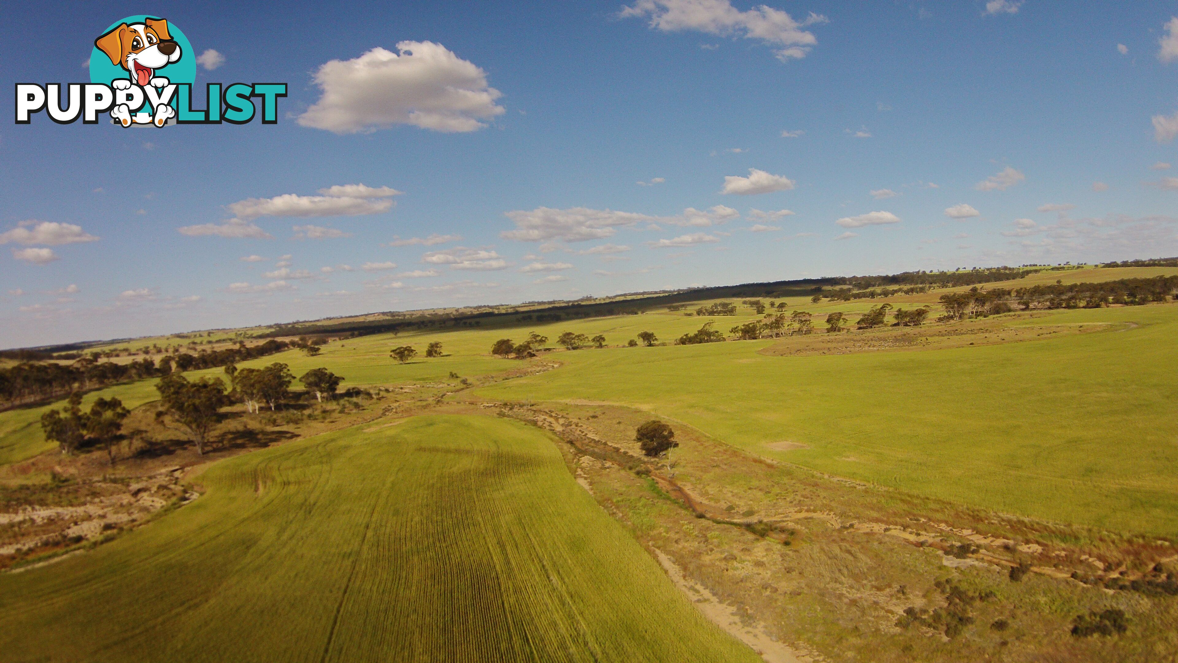 6631 CUNDERDIN-QUAIRADING ROAD YOUNDEGIN WA 6407
