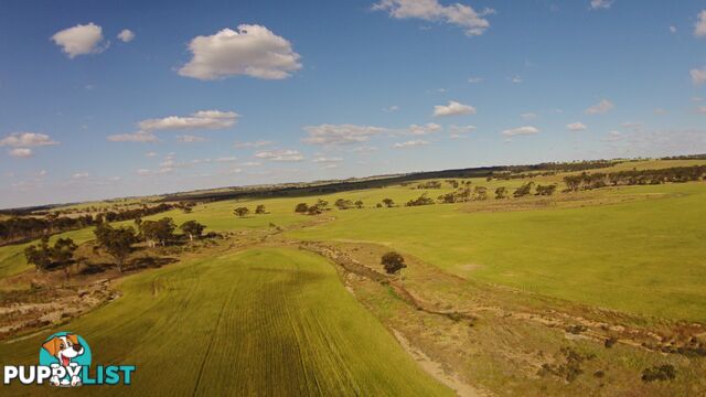 6631 CUNDERDIN-QUAIRADING ROAD YOUNDEGIN WA 6407