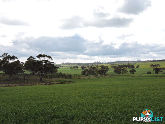 6631 CUNDERDIN-QUAIRADING ROAD YOUNDEGIN WA 6407