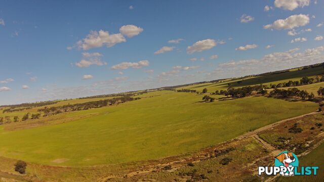 6631 CUNDERDIN-QUAIRADING ROAD YOUNDEGIN WA 6407