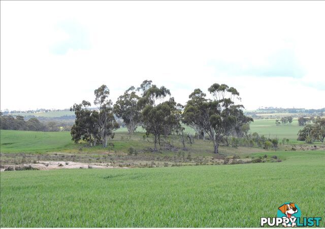 6631 CUNDERDIN-QUAIRADING ROAD YOUNDEGIN WA 6407