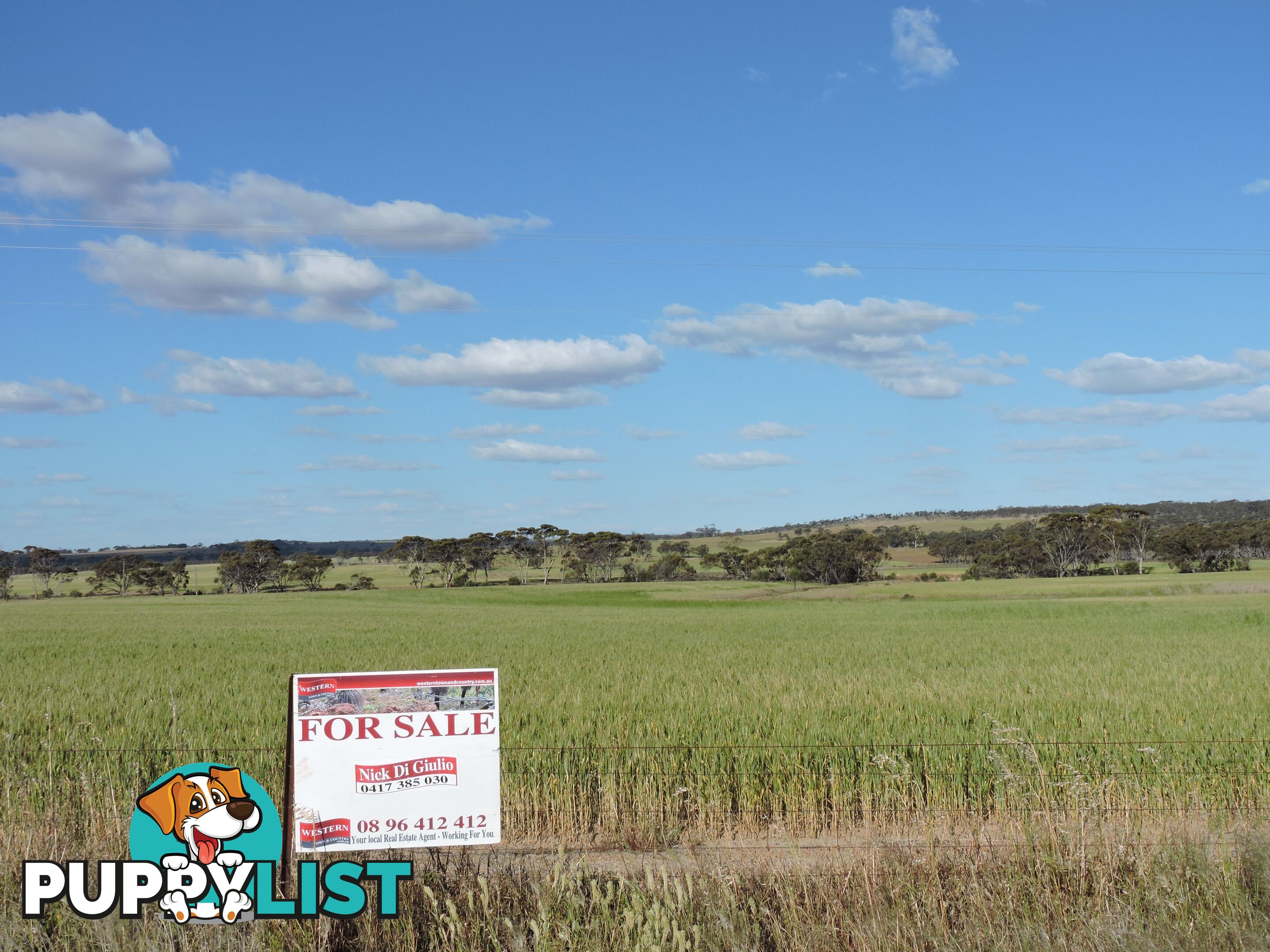 6631 CUNDERDIN-QUAIRADING ROAD YOUNDEGIN WA 6407